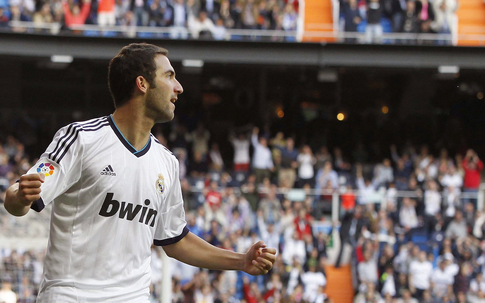 Jiu You-体育志愿服务对大学生社会责任感的影响研究，体育志愿者服务活动内容